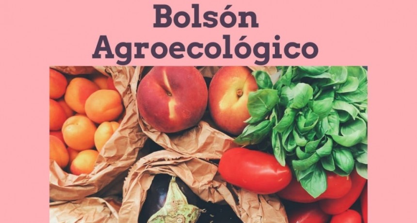 Productos Agroecológicos