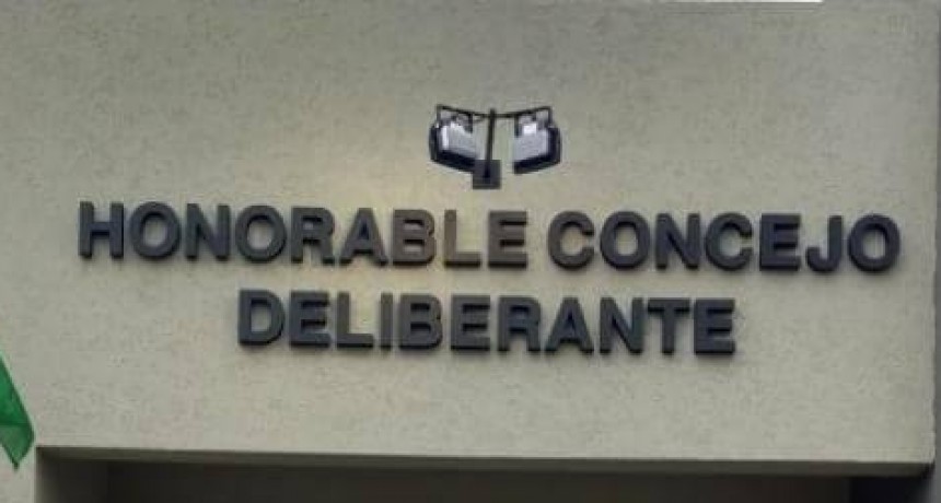 Sesión del Concejo Deliberante 1º parte