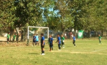 Fútbol Infantil