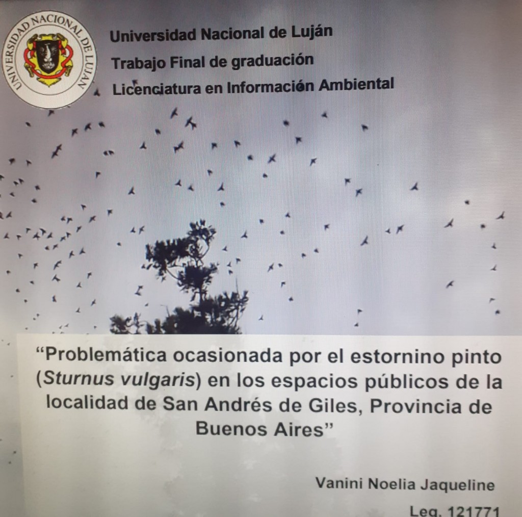 Estorninos 