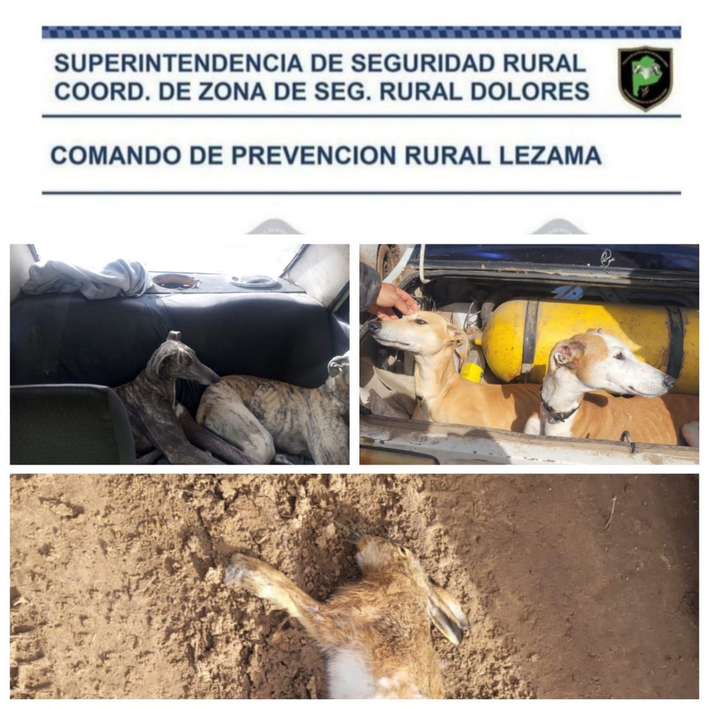 Cazadores infraccionados