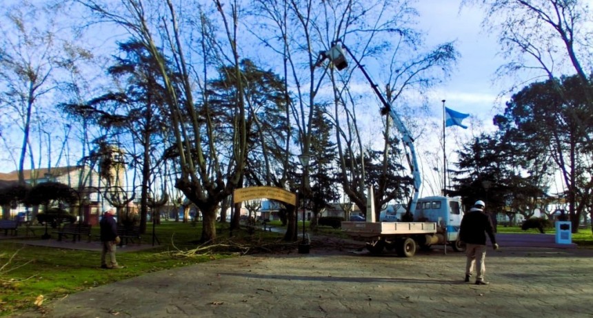 Arreglos en la plaza de la autonomía