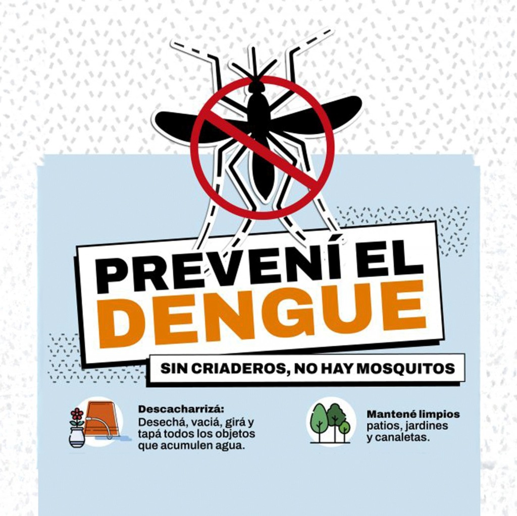 Campaña de Prevención del Dengue