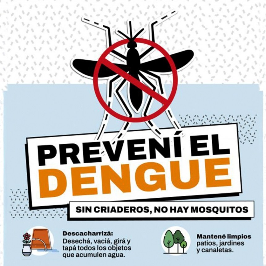 Campaña de Prevención del Dengue