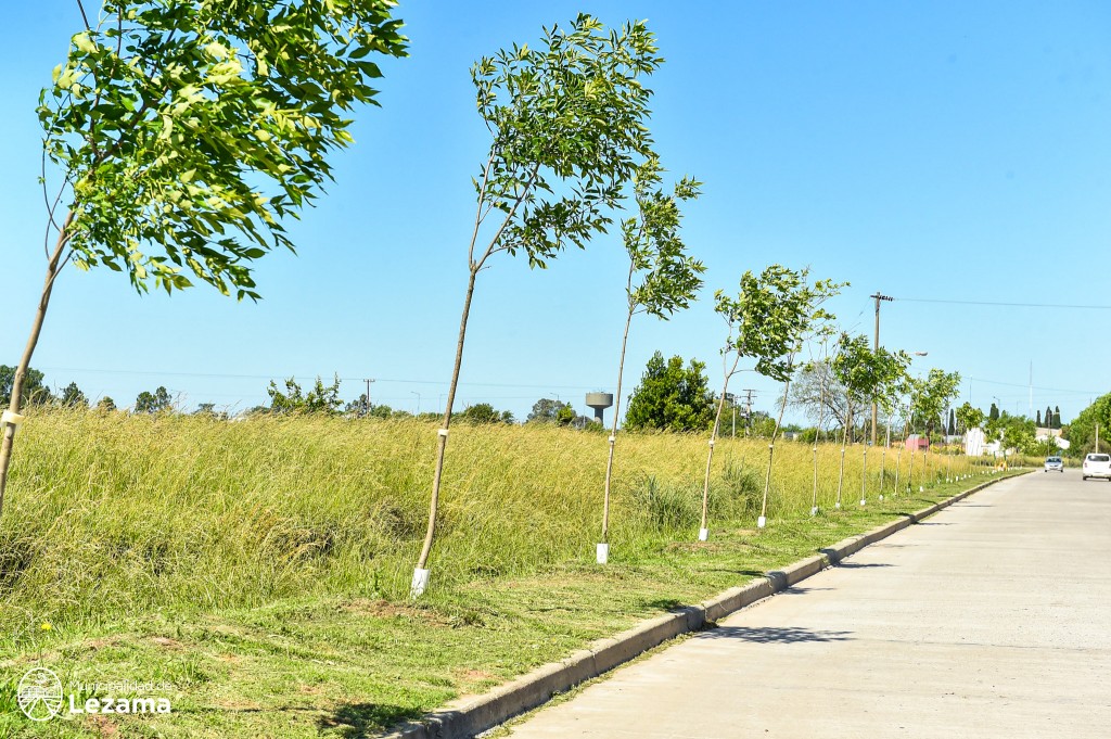 Columna sobre Medio Ambiente