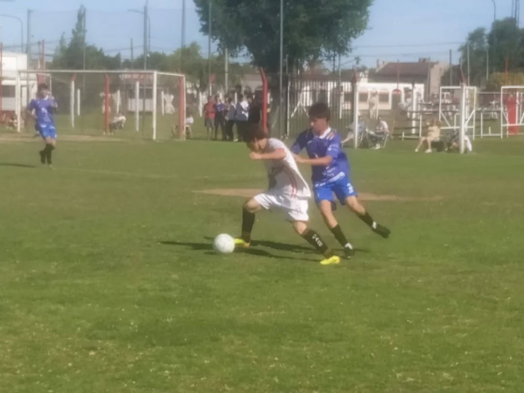 Resultados Liguistas