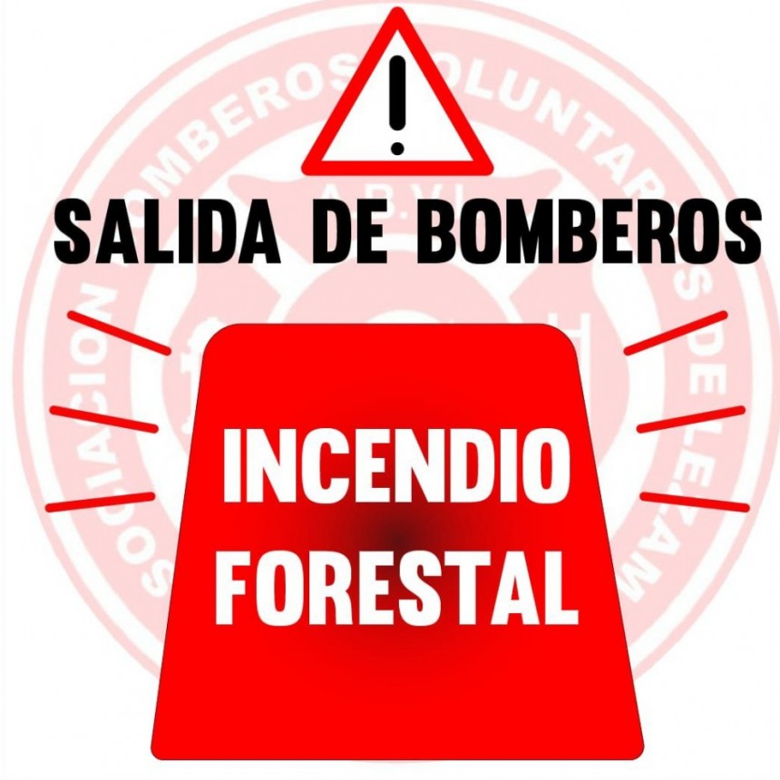 Entrevista a Carlos Firmapaz